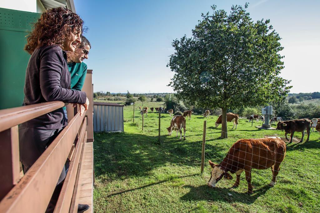 Bio-Agriturismo Parco Rurale "Alture Di Polazzo" Guest House Fogliano Redipúglia Екстериор снимка